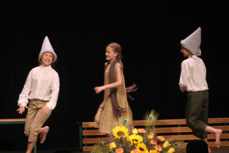 Zlate petice 105 Foto Ljubo Vukelič